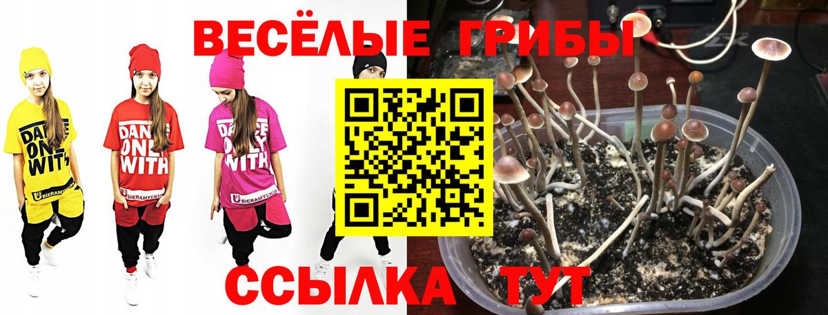 Ивантеевка  Галлюциногенные грибы ЛСД  Вход с VPN 